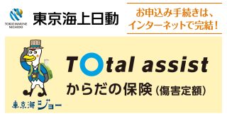 Total assist からだの保険（障害定額）